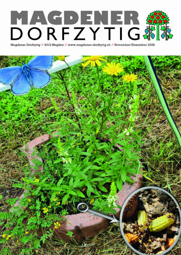 Titelseite Ausgabe 113